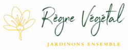 Règne Végétal